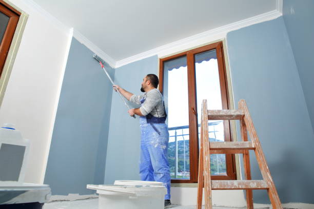 Best Comprehensive Air Testing for Mold Contaminants  in New Providence, NJ