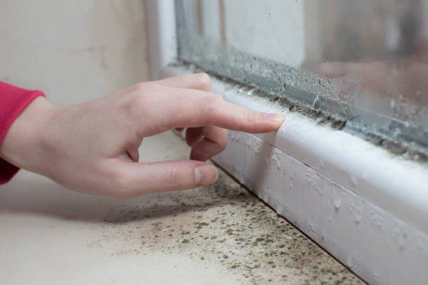 Best Post-Remediation Verification Testing  in New Providence, NJ