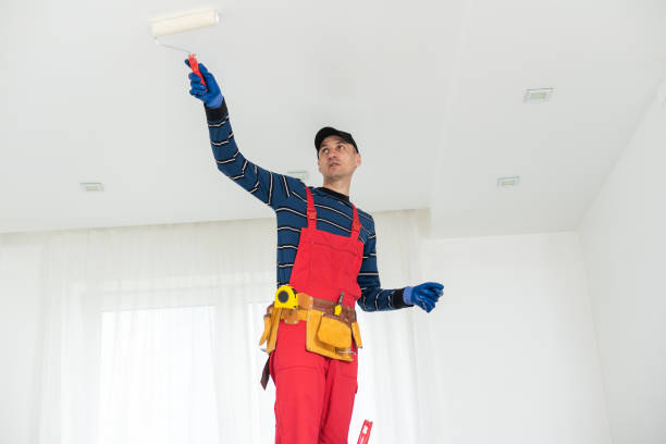 New Providence, NJ Mold Removal Company