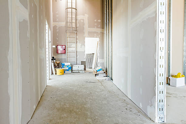 Best Asbestos and Lead Testing During Mold Inspection  in New Providence, NJ